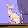 catdog123