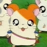 Hamtaro