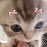 meekster