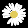 Karlln0986