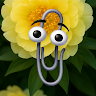lemonchiffonpeon