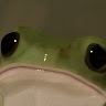 peywtf