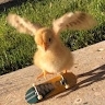 Portoes