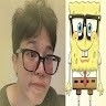 fificobain